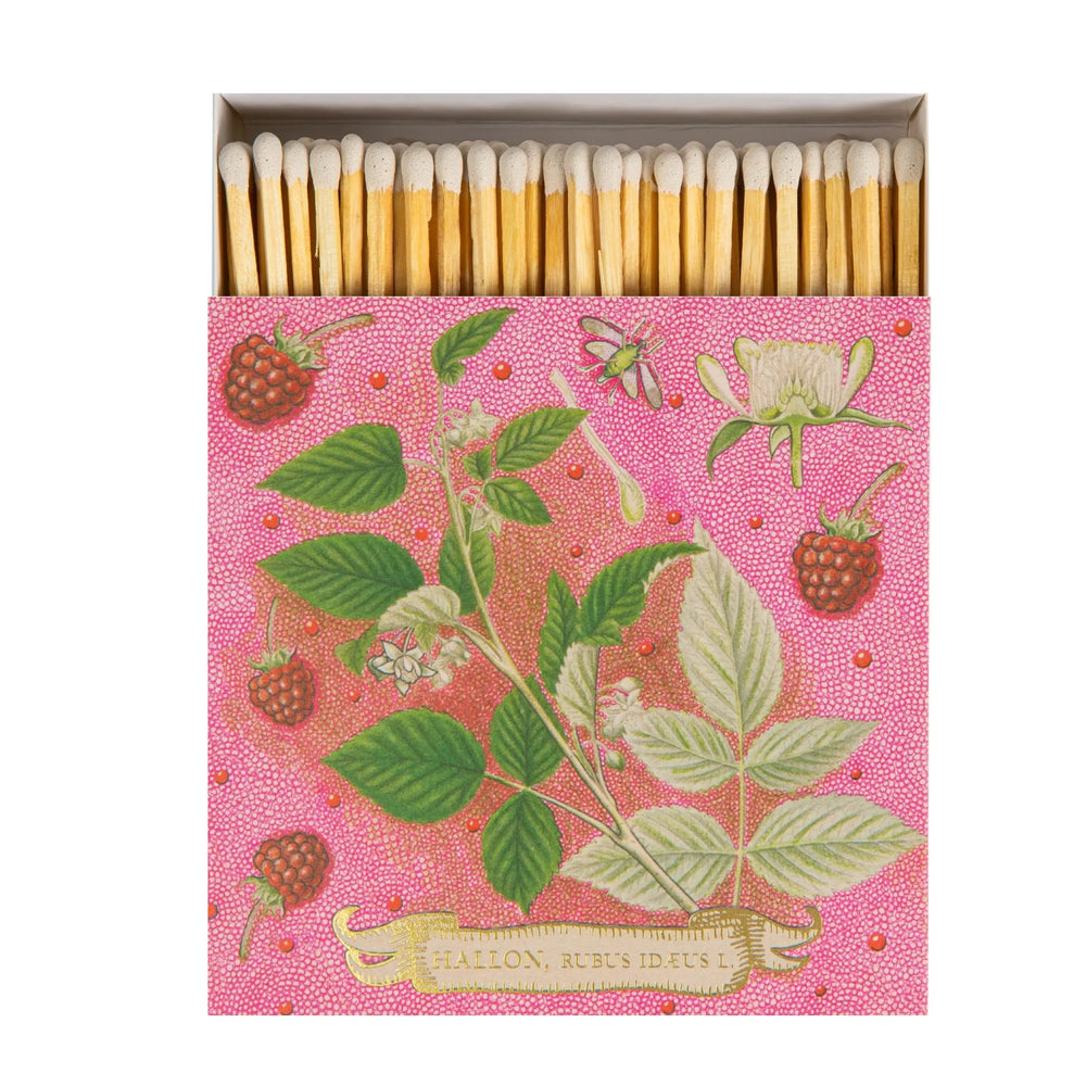 Archivist Šibice Rose Framboise